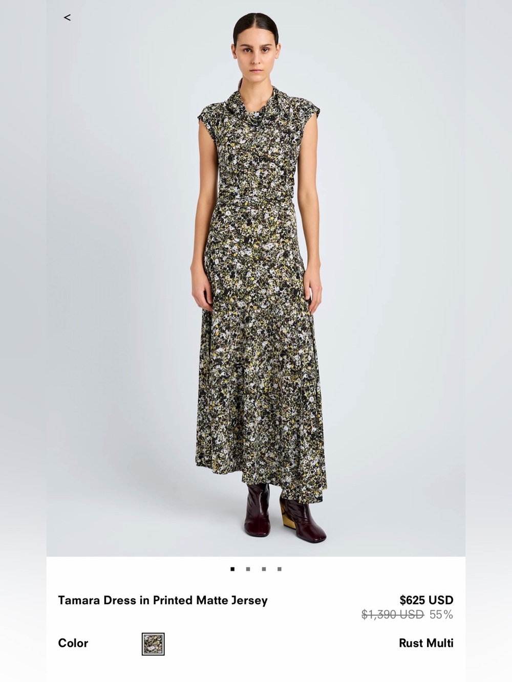 Proenza Tamara Rust Multi Printed Maxi Dress